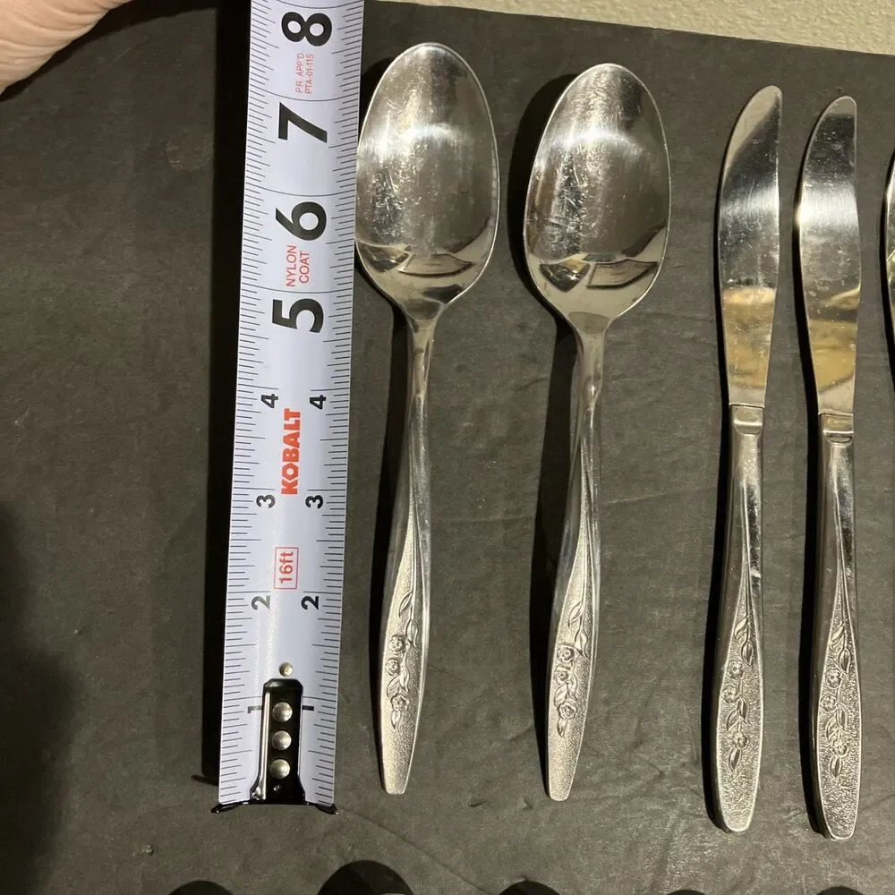 Superior RADIANT ROSE Set Of 22 Flatware USA Stainless Steel Set Vintage MCM
